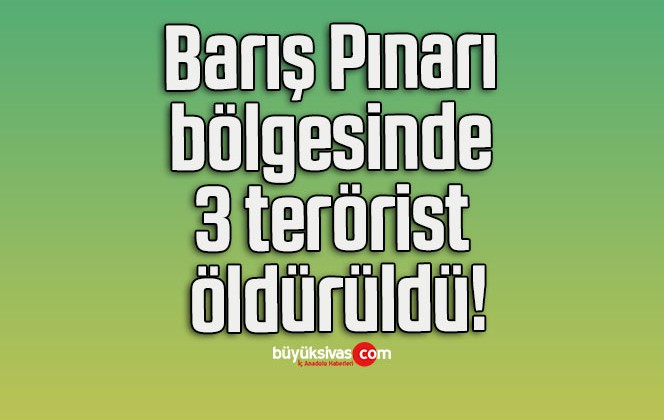 Barış Pınarı bölgesinde 3 terörist öldürüldü!