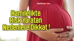 Hamilelikte Risk Yaratan Nedenlere Dikkat !