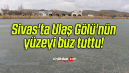 Sivas’ta Ulaş Gölü’nün yüzeyi buz tuttu! 