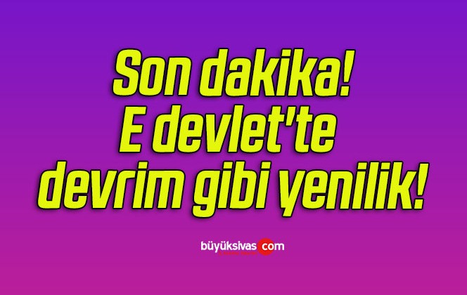 E devlet’te devrim gibi yenilik!