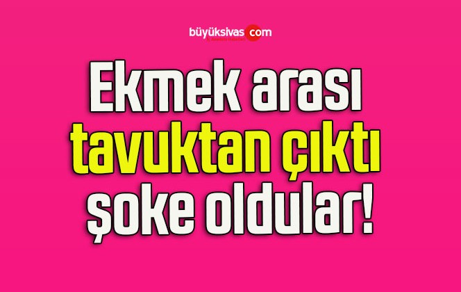 Ekmek arası tavuktan çıktı şoke oldular!