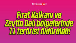 Fırat Kalkanı ve Zeytin Dalı bölgelerinde 11 terörist öldürüldü!