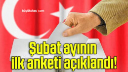 Şubat ayının ilk anketi açıklandı!