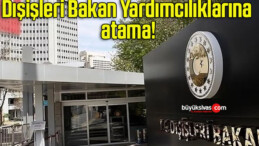 Dışişleri Bakan Yardımcılıklarına atama!