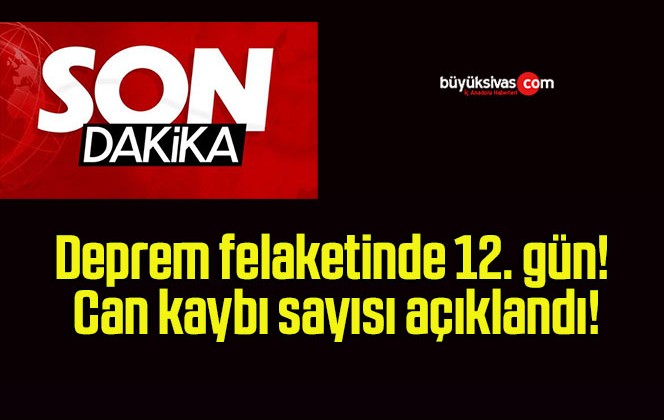 Deprem felaketinde 12. gün! Can kaybı sayısı açıklandı!