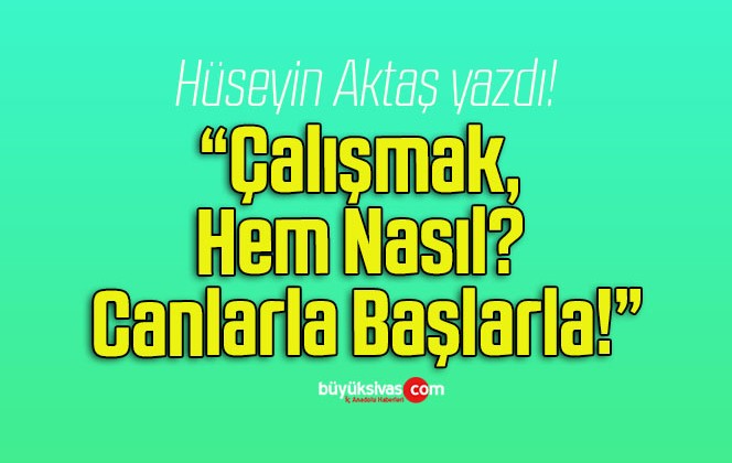 Çalışmak, Hem Nasıl? Canlarla Başlarla!