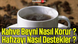 Kahve Beyni Nasıl Korur ? Hafızayı Nasıl Destekler ? 