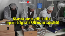 Sivas’ta koyun yetiştiricileri deprem bölgesine 855 koyun bağışladı! 