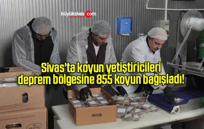 Sivas’ta koyun yetiştiricileri deprem bölgesine 855 koyun bağışladı! 