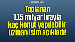 Toplanan 115 milyar lirayla kaç konut yapılabilir uzman isim açıkladı!