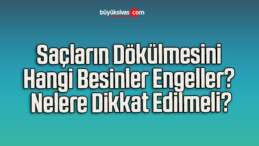 Saçların Dökülmesini Hangi Besinler Engeller? Nelere Dikkat Edilmeli?