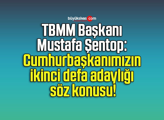 şen
