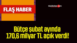 Bütçe şubat ayında 170,6 milyar TL açık verdi!