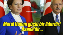 Meral Hanım güçlü bir liderdir! Asena’dır…