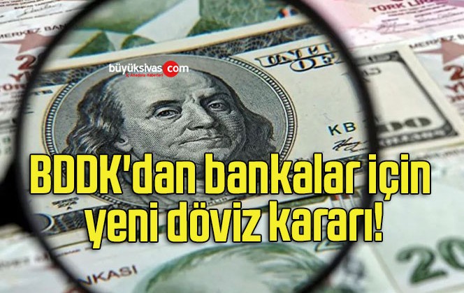 BDDK’dan bankalar için yeni döviz kararı!