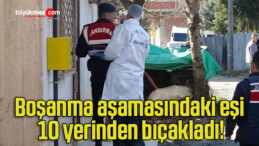 Boşanma aşamasındaki eşi 10 yerinden bıçakladı!