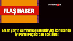 Ersan Şen’in cumhurbaşkanı adaylığı konusunda İyi Partili Paçacı’dan açıklama!