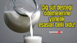 Çiğ süt desteği ödemelerine yönelik esaslar belli oldu!