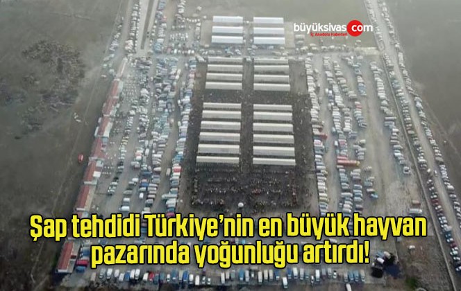 Şap tehdidi Türkiye’nin en büyük hayvan pazarında yoğunluğu artırdı!