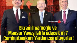 Ekrem İmamoğlu ve Mansur Yavaş istifa edecek mi? Cumhurbaşkanı Yardımcısı oluyorlar!