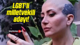 LGBT’li milletvekili adayı!