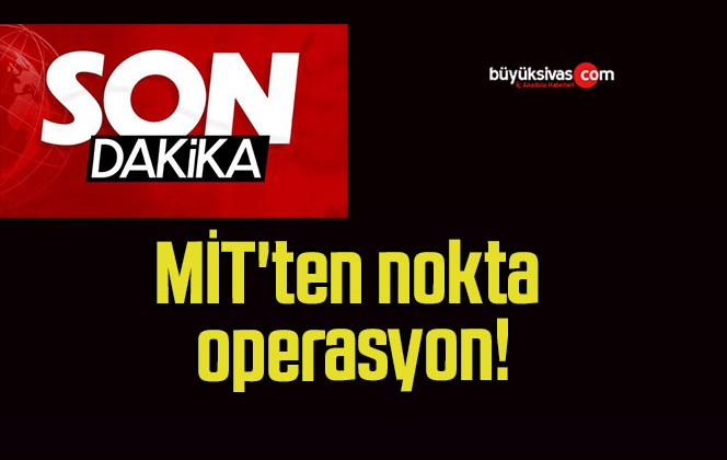 MİT’ten nokta operasyon!