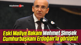 Eski Maliye Bakanı Mehmet Şimşek Cumhurbaşkanı Erdoğan’la görüştü!