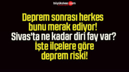 Deprem sonrası herkes bunu merak ediyor! Sivas’ta ne kadar diri fay var? İşte ilçelere göre deprem riski!