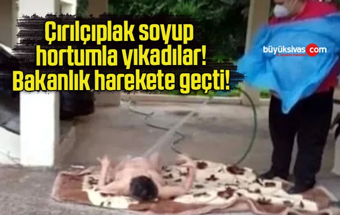 Çırılçıplak soyup hortumla yıkadılar! Bakanlık harekete geçti!