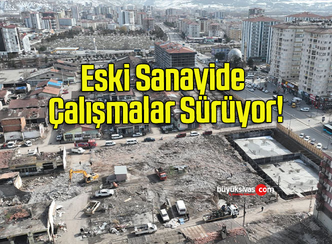 sürü