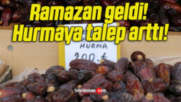 Ramazan geldi! Hurmaya talep arttı!