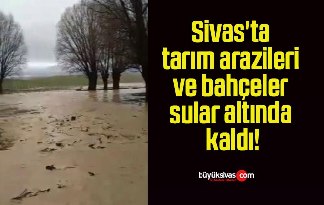Sivas’ta tarım arazileri ve bahçeler sular altında kaldı!