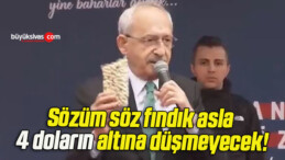 Sözüm söz fındık asla 4 doların altına düşmeyecek!