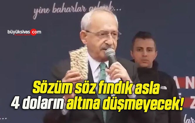 Sözüm söz fındık asla 4 doların altına düşmeyecek!