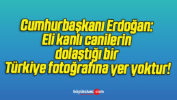 Cumhurbaşkanı Erdoğan: Eli kanlı canilerin dolaştığı bir Türkiye fotoğrafına yer yoktur!