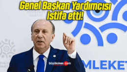 Muharrem İnce’ye istifa şoku! Genel Başkan Yardımcısı Aziz Aykut Demiray istifa etti!