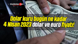 Dolar kuru bugün ne kadar 4 Nisan 2023 dolar ve euro fiyatı!