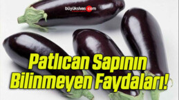 Patlıcan Sapının Bilinmeyen Faydaları!