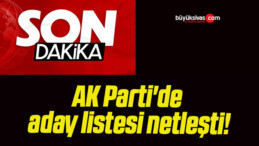 AK Parti’de aday listesi netleşti!