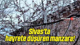 Sivas’ta hayrete düşüren manzara!