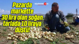 Pazarda markette 30 lira olan soğan tarlada 10 liraya düştü!