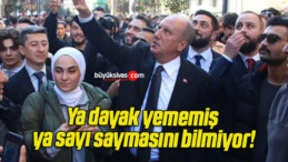 Ya dayak yememiş ya sayı saymasını bilmiyor!