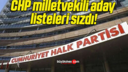 CHP milletvekili aday listeleri sızdı!