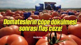 Domateslerin çöpe dökülmesi sonrası flaş ceza!