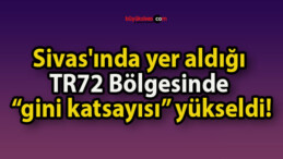 Sivas’ında yer aldığı TR72 Bölgesinde “gini katsayısı” yükseldi!