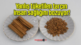 Yanlış tüketilen tarçın insan sağlığını bozuyor!