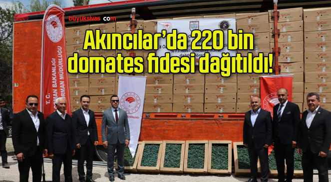 Akıncılar’da 220 bin domates fidesi dağıtıldı!