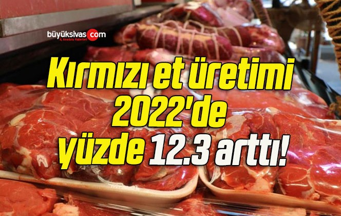 Kırmızı et üretimi 2022’de yüzde 12.3 arttı!