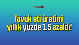 Tavuk eti üretimi yıllık yüzde 1,5 azaldı!