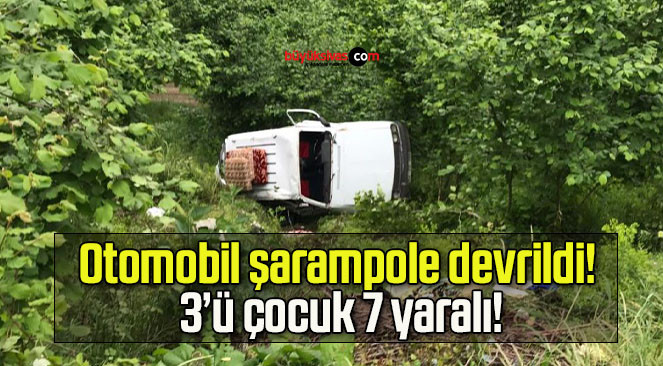 Otomobil şarampole devrildi! 3’ü çocuk 7 yaralı!